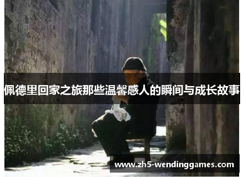 佩德里回家之旅那些温馨感人的瞬间与成长故事