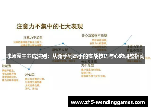 球场霸主养成法则：从新手到高手的实战技巧与心态调整指南