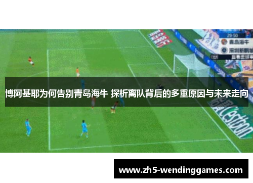 博阿基耶为何告别青岛海牛 探析离队背后的多重原因与未来走向