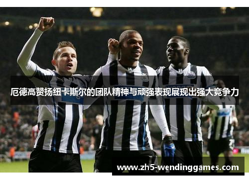 厄德高赞扬纽卡斯尔的团队精神与顽强表现展现出强大竞争力