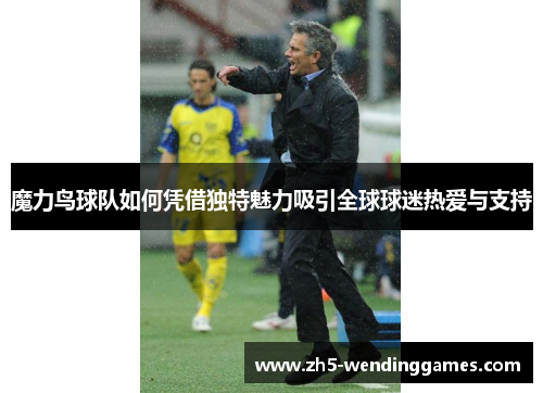 魔力鸟球队如何凭借独特魅力吸引全球球迷热爱与支持 魔力鸟球队如何凭借独特魅力吸引全球球迷热爱与支持