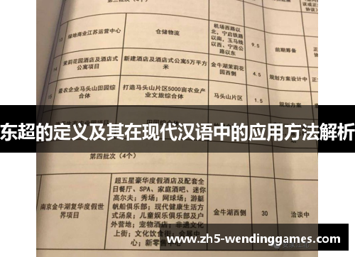 东超的定义及其在现代汉语中的应用方法解析 东超的定义及其在现代汉语中的应用方法解析