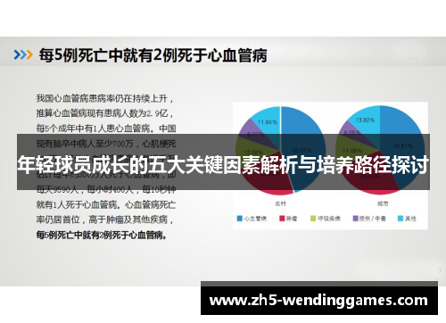 年轻球员成长的五大关键因素解析与培养路径探讨