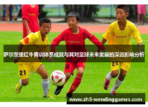 萨尔茨堡红牛青训体系成就与其对足球未来发展的深远影响分析