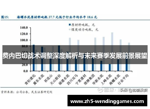 费内巴切战术调整深度解析与未来赛季发展前景展望